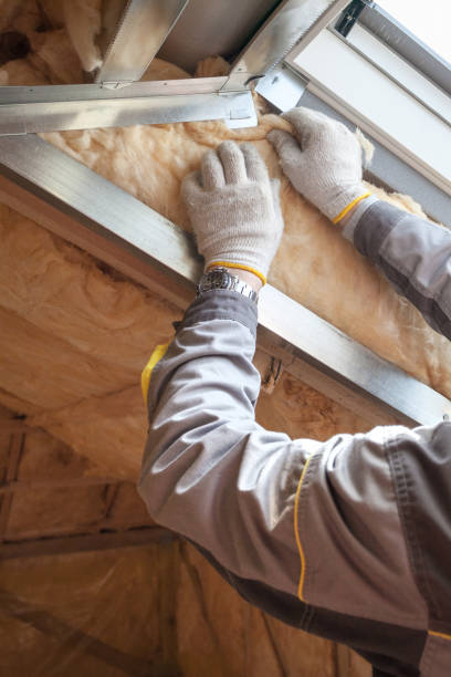 Best Specialized Insulation Services in Wytheville, VA